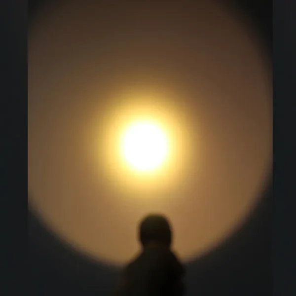 IMG_7258 great flashlights Ultra Fire C8 CREE XM-L2 3000K-3500K Warm White 1300lm