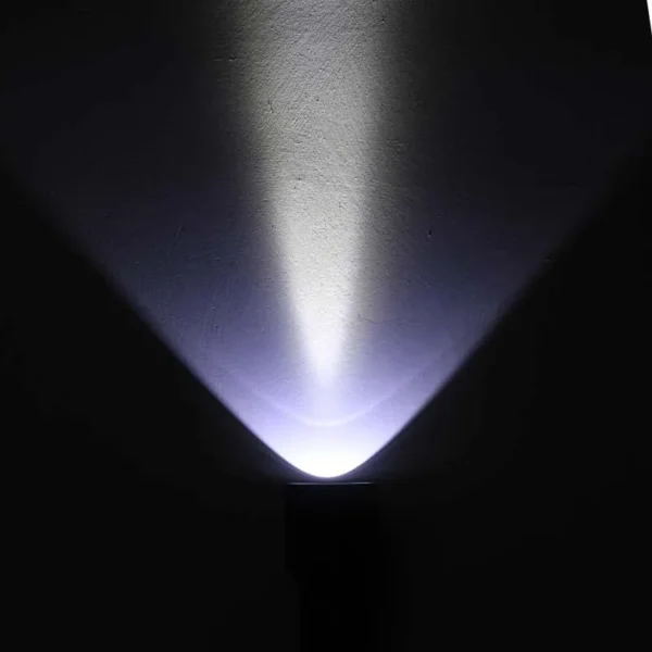 IMG_4692 flash lights Manta Ray C8.2 LUMINUS SST-40-W 1650lm