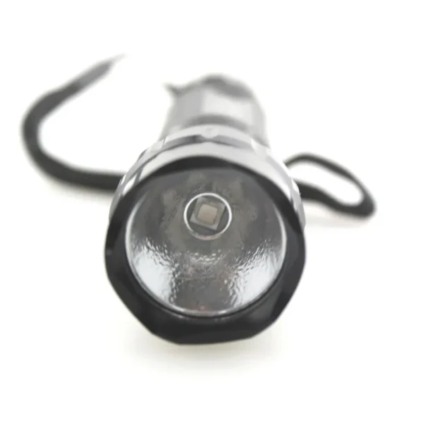 IMG_5995 flash light light Ultra fire WF501B CREE XM-L2 450nm 455nm Royal Blue Light