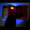 uv light torch Ultra Fire 501B 410nm UV Flashlight