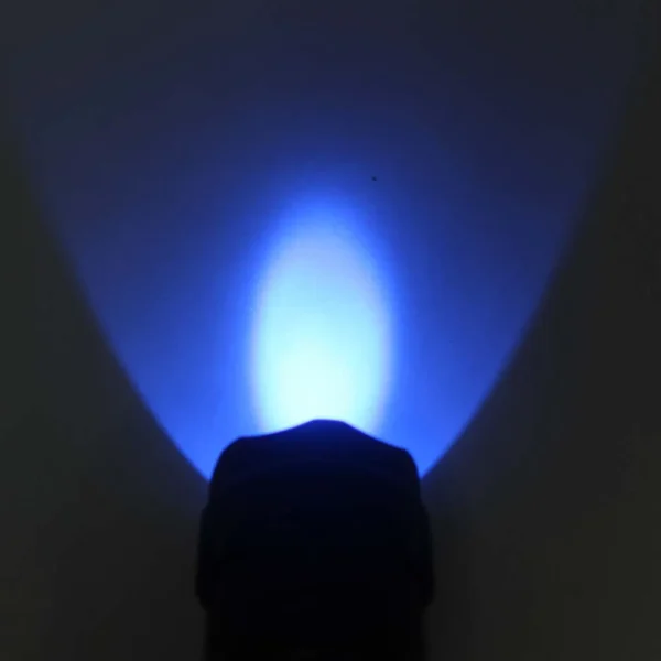 IMG_5268 uv blacklight flashlight Ultra Fire 502B 395nm UV Flashlight