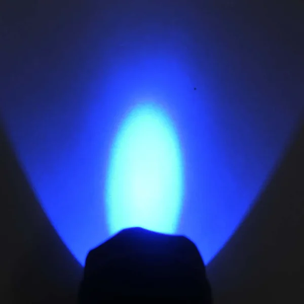 best uv flashlight Ultra Fire 502B 365nm UV Flashlight