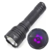 365nm black light