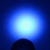 led flashlight uv 501B Ultra Violet Flashlight UV Torch SEOUL 5W 365nm Blacklight