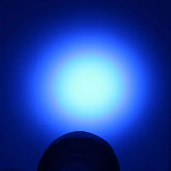 led flashlight uv 501B Ultra Violet Flashlight UV Torch SEOUL 5W 365nm Blacklight